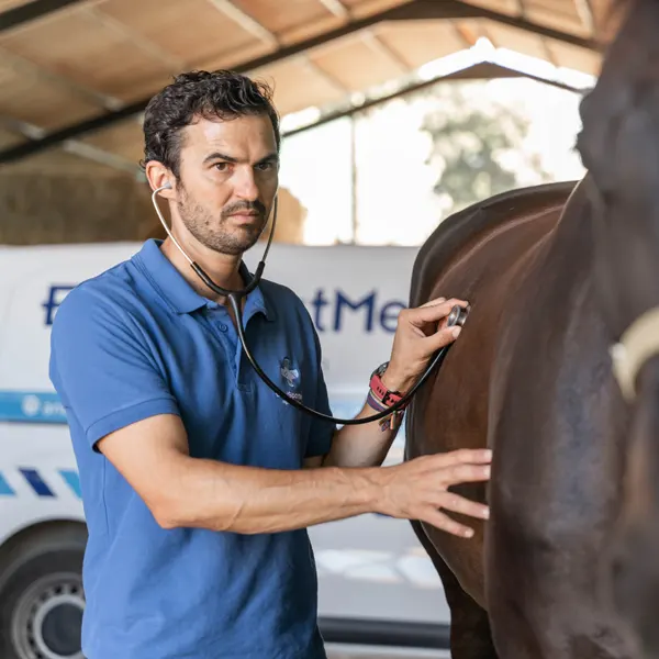 nosotros 3 alejandro fernandez